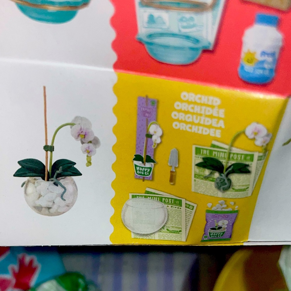 Mini Verse Orchid